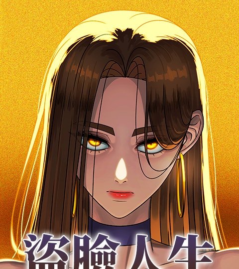 盜臉人生封面